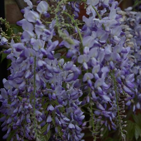 5 Charlton Mill Way B&B Chichester Zewnętrze zdjęcie