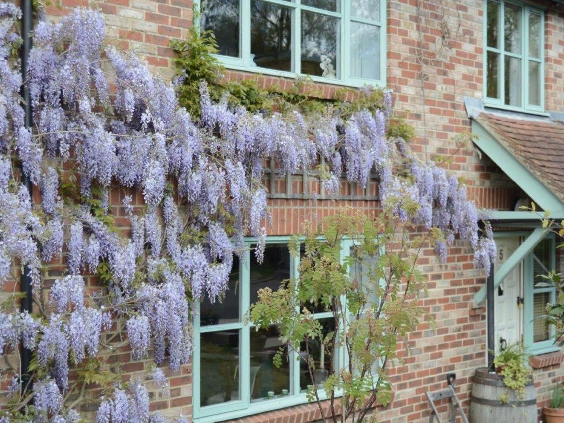 5 Charlton Mill Way B&B Chichester Zewnętrze zdjęcie