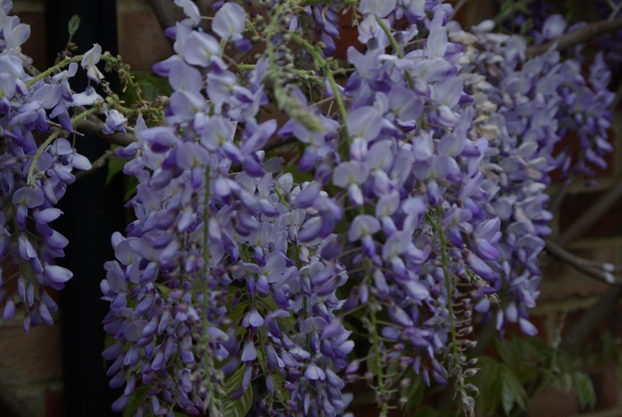 5 Charlton Mill Way B&B Chichester Zewnętrze zdjęcie